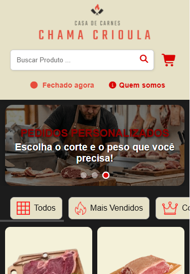 Preview do projeto